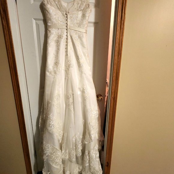 Champagne Wedding Dress - Picture 6 of 9